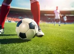 瓜迪奥拉望,留任曼城,最佳战绩由,新葡京,新葡京app,新葡京娱乐,新普京赌场