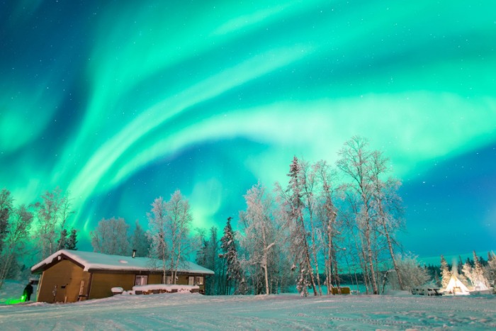 周五战报,张宁关键时,刻完成绝杀,新葡京,新葡京app,新葡京娱乐,新普京赌场